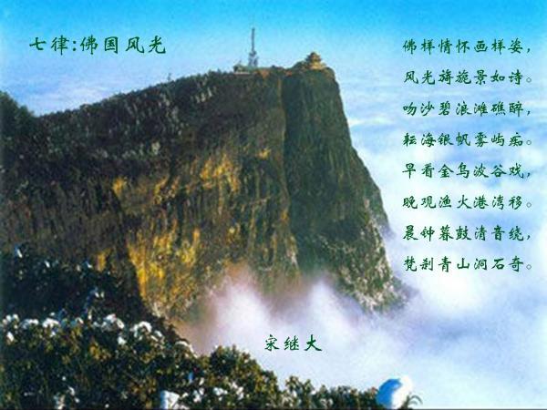 今年得行情会好点不-最专业的问答类网站